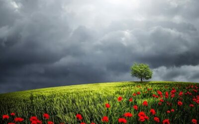 Integer ut fringilla eros